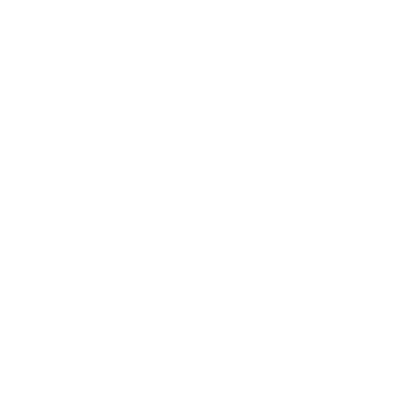 The Mobile Company